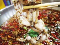 -渔香岛美蛙鱼头火锅(威清路店)