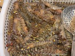 -一方渔歌蒸汽海鲜自助(文化路万达广场店)