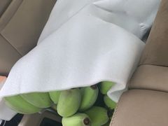 -双福水果批发市场