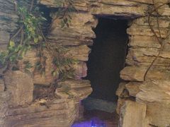 -明日世界密室轰趴·剧本桌游·箭馆团建(国贸店)