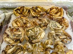 -铭聚章鱼土笋冻(松柏店)