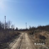 《田地里空无一人》