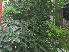 -德宏芒市国际机场