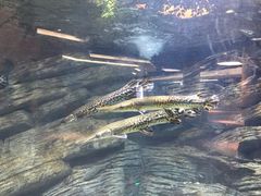 -绍兴梦享海洋公园