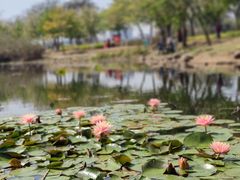 -成裕雪糕店(士多店)