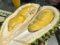 -都念榴莲·城市榴莲
