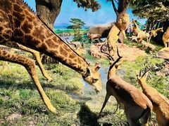 -国家自然博物馆