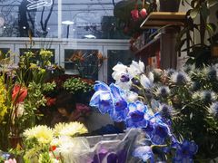 -FEI FEI FLOWER鲜花店·气球派对·宝宝宴布置(虹口德必运动Loft店)