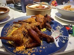 -点都德·毕德寮