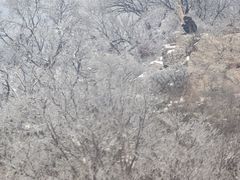 -紫金山索道-售票处