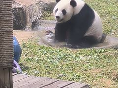-南昌动物园