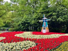 -上海共青森林公园