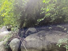 -云岫谷游猎自然风景区