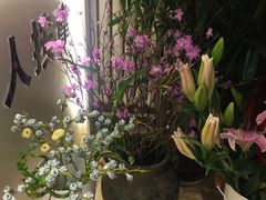 -康轩盲人按摩(上海沙龙店)