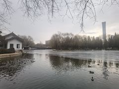-团结湖公园