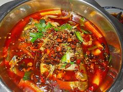 -宽口美蛙鱼头(大唐西市店)