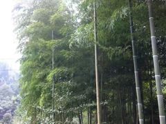 -红峡谷