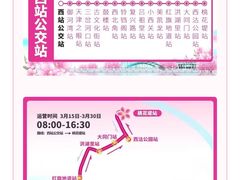 -桃花堤公园