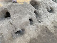 -前小桔亲子创意农场·草莓采摘·露营烧烤