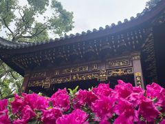 -汇龙潭
