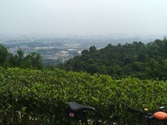 -火炉山森林公园