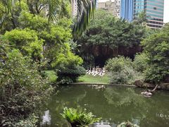 -九龙公园
