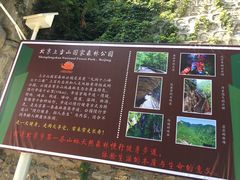 -北京上方山国家森林公园