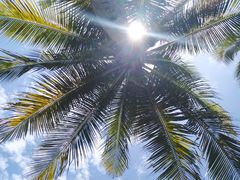 -三亚珠江南田温泉度假区