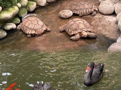 -南宫五洲植物乐园