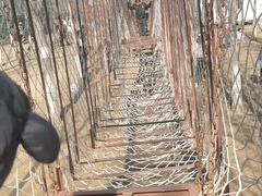 -草根堂农场
