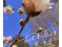 -国家植物园