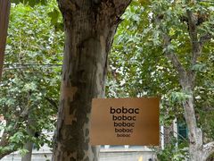 -BOBAC