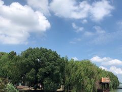 -同里湖度假村(二期店)