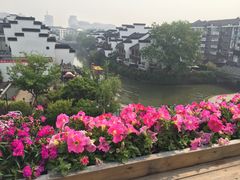 -南京夫子庙国际青年旅舍(平江府路店)