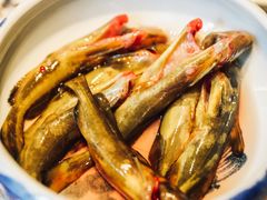 -大妙火锅·非物质文化遗产(东湖公园店)