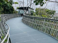 -福道