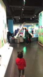 -北京科学中心儿童乐园