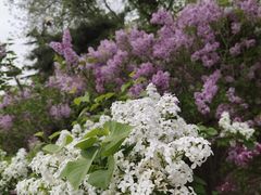 -南礼士路(地铁站)