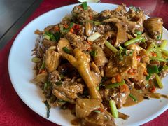 现杀果园鸡—黄焖鸡-生态苑农庄(十里画廊遇龙河店)