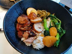 -MR鹅外