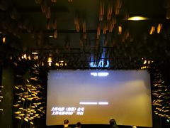 -武商摩尔影城(国广IMAX激光店)
