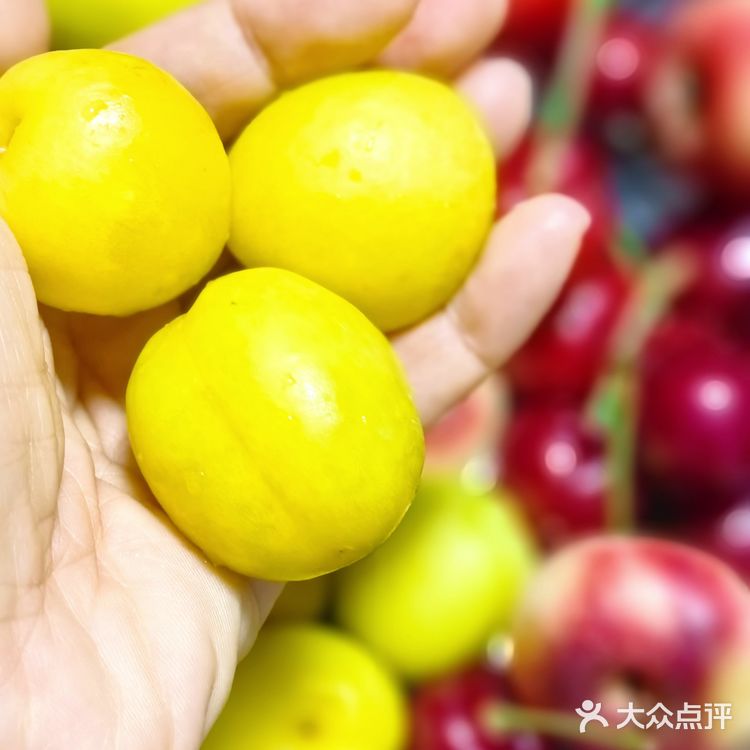 #随手拍#迷你水果局～mini fruits