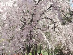 -西安青龙寺遗址景区