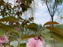 -东郊湿地公园