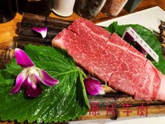 -哈拉海和牛主题餐厅(哈西店)