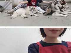 -星多哈·狗咖·拼豆·咖啡