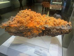 -湖南省地质博物馆