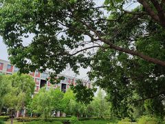 -同济大学(嘉定校区)