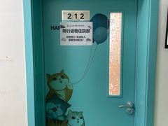 -北京观赏动物医院·24小时大型综合·猫专科·异宠专科
