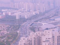 -柴犬小屋·柴餐厅·狗咖食堂(金鼎广场店)